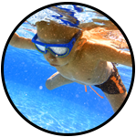 enfant-etoile-de-mer-natation-classe-bleue